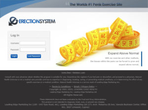 Erection System